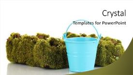  Presentation with earth science green and white - PPT layouts consisting of bryophytes - green moss and metal bucket background and a white colored foreground