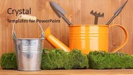  Presentation with moss - Slide deck enhanced with bryophytes - green moss and watering can background and a coral colored foreground