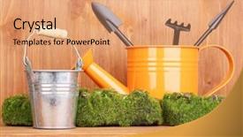  Presentation with moss - Beautiful presentation design featuring bryophytes - green moss and watering can backdrop and a coral colored foreground
