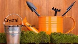  Presentation with gardening tools on fertile soil - Slides enhanced with bryophytes - green moss and watering can background and a gold colored foreground
