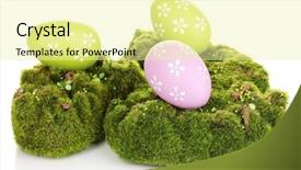  Presentation with white green - Beautiful presentation theme featuring bryophytes - green moss with eggs isolated backdrop and a  colored foreground