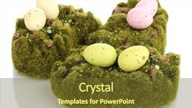  Presentation with white green - PPT layouts enhanced with bryophytes - green moss with eggs isolated background and a tawny brown colored foreground