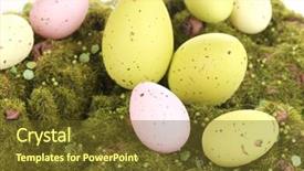  Presentation with white green - Theme having bryophytes - green moss with eggs isolated background and a  colored foreground