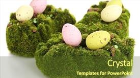  Presentation with earth science green and white - Beautiful theme featuring bryophytes - green moss with eggs isolated backdrop and a tawny brown colored foreground