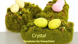  Presentation with earth science green and white - Presentation theme with bryophytes - green moss with eggs isolated background and a tawny brown colored foreground