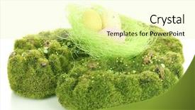  Presentation with white and green - Cool new slides with bryophytes - green moss with eggs isolated backdrop and a blonde colored foreground