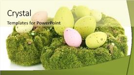  Presentation with moss - Slide set featuring bryophytes - green moss with eggs isolated background and a blonde colored foreground