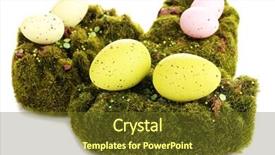  Presentation with green and white - Amazing presentation having bryophytes - green moss with eggs isolated backdrop and a tawny brown colored foreground