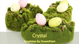  Presentation with elegant green white romantic - Slide deck consisting of bryophytes - green moss with eggs isolated background and a tawny brown colored foreground