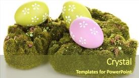  Presentation with moss - Theme consisting of bryophytes - green moss with eggs isolated background and a tawny brown colored foreground