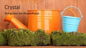  Presentation with sorghum grains in a bucket - Slide deck consisting of bryophytes - green moss with watering can background and a gold colored foreground