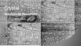  Presentation with water drop - Cool new PPT theme with  backdrop and a  colored foreground