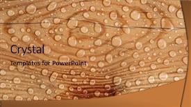  Presentation with water drop - Cool new theme with beads dew - water drop on a wooden backdrop and a coral colored foreground