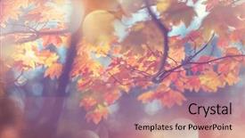  Presentation with multicolored autumn leaves orange yellow red - Colorful theme enhanced with bubble light colour - colorful yellow leaves in autumn backdrop and a coral colored foreground