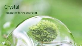  Presentation with water drop - Beautiful presentation featuring bubble map - tree in water drop backdrop and a mint green colored foreground