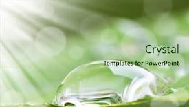  Presentation with water drop - Slide deck consisting of bubble map - water drop on the leaves background and a mint green colored foreground