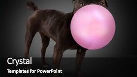  Presentation with bubble - Colorful slides enhanced with envision future - multiethnic group of hands holding backdrop and a white colored foreground