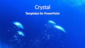  Presentation with blue water - PPT theme featuring bubbles in blue water background and a dark gray colored foreground