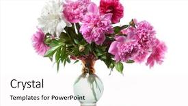  Presentation with peony flower - Colorful PPT layouts enhanced with bucket flower - boquet of peony backdrop and a white colored foreground