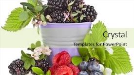  Presentation with berries - Audience pleasing PPT layouts consisting of bucket with bloom flower backdrop and a yellow colored foreground