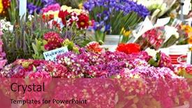  Presentation with summer flowers - Presentation theme featuring buckets of flowers for sale background and a  colored foreground