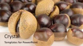  Presentation with white horse - PPT theme consisting of buckeye - horse chestnuts on white background and a  colored foreground