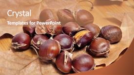  Presentation with fall leaves - Colorful theme enhanced with buckeye - some roasted chestnuts typical snack backdrop and a  colored foreground