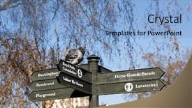  Presentation with pedestrian - PPT theme consisting of buckingham palace - pigeon on a pedestrian sign background and a light blue colored foreground