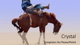  Presentation with rodeo - PPT layouts featuring bucks - bucking rodeo horse isolated background and a soft green colored foreground