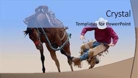  Presentation with cowboy - PPT theme enhanced with bucks - cowboy bucked of a bucking background and a light blue colored foreground