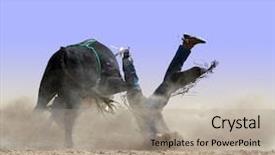  Presentation with cowboy - Colorful slide deck enhanced with bucks - cowboy with his face backdrop and a mint green colored foreground