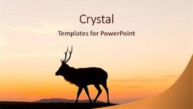  Presentation with buck - PPT theme with bucks - deer buck in mountain background and a lemonade colored foreground