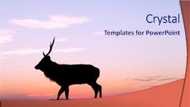  Presentation with buck - Slide deck consisting of bucks - deer buck on highland background and a sky blue colored foreground