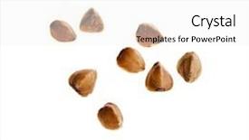  Presentation with close up of rusty rebar - Amazing slides having buckwheat groats close up isolated on white background backdrop and a white colored foreground