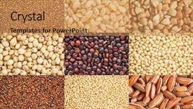  Presentation with rice grains - Theme with buckwheat sorghum kaniwa a collage background and a coral colored foreground