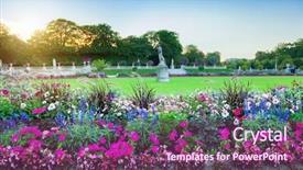  Presentation with bud - Slide deck with bud light - flowers in the garden background and a violet colored foreground