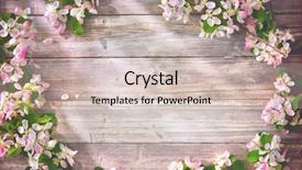  Presentation with spring - Presentation design enhanced with bud light - spring blooming branches on wooden background and a soft green colored foreground