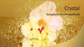  Presentation with golden yellow - Beautiful theme featuring bud of yellow-pink gladiolus backdrop and a yellow colored foreground