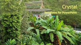  Presentation with jungle - Amazing slide deck having buddhist home dormitory in jungle backdrop and a tawny brown colored foreground