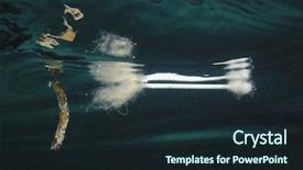  Presentation with ear pollution - Colorful presentation enhanced with ear bud plastic pollution backdrop and a wine colored foreground