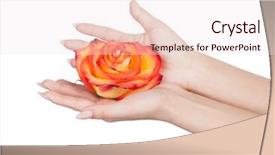  Presentation with bud - Audience pleasing slide set consisting of rose bud in female hand backdrop and a lemonade colored foreground