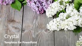  Presentation with lilac flower - Amazing slide deck having budding flower - beautiful lilac on a wooden backdrop and a gray colored foreground