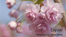  Presentation with spring tree - Slides with cute mixed-race girl wearing a fairy dress and using a smartphone on a park background and a lemonade colored foreground