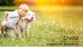  Presentation with golden - Slide deck having buddy walk - boy and golden retriever dog background and a yellow colored foreground