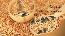  Presentation with parrots - Slides having budgeriga - food for parrots close-up background and a yellow colored foreground