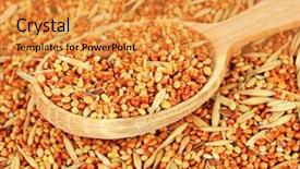  Presentation with parrots - Cool new theme with budgeriga - food for parrots close-up backdrop and a gold colored foreground