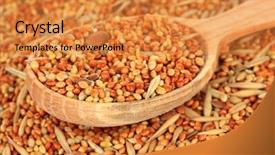  Presentation with parrots - PPT theme consisting of budgeriga - food for parrots close-up background and a gold colored foreground