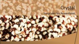  Presentation with parrots - Colorful presentation enhanced with budgeriga - food for parrots close-up backdrop and a coral colored foreground