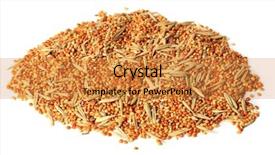  Presentation with parrots - Cool new slides with budgeriga - food for parrots isolated backdrop and a gold colored foreground