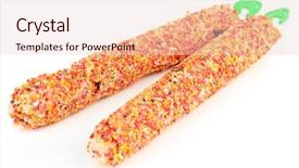  Presentation with parrots - Cool new slide deck with salamandra in sahara desert merzouga backdrop and a gold colored foreground